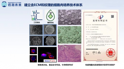 細胞培養肉技術新突破 佰鴻引領國際微載體誘導成肌技術，開創蛋白新篇章